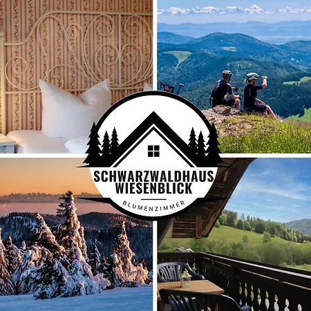 アパート Schwarzwaldhaus Wiesenblick - App 