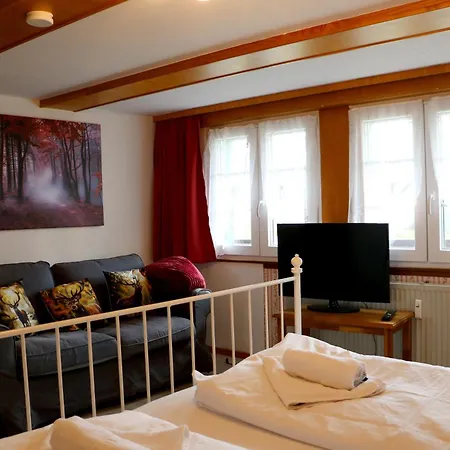 Schwarzwaldhaus Wiesenblick - App 