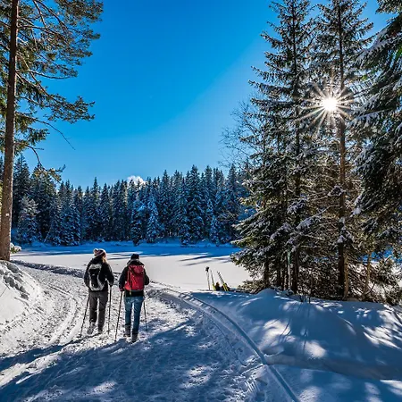 Schwarzwaldhaus Wiesenblick - App 