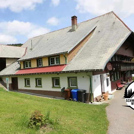 Schwarzwaldhaus Wiesenblick - App 