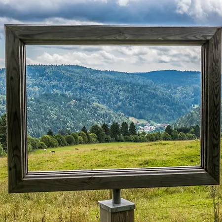 Schwarzwaldhaus Wiesenblick - App 