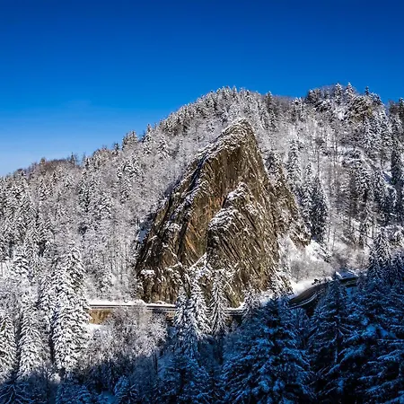 Schwarzwaldhaus Wiesenblick - App 
